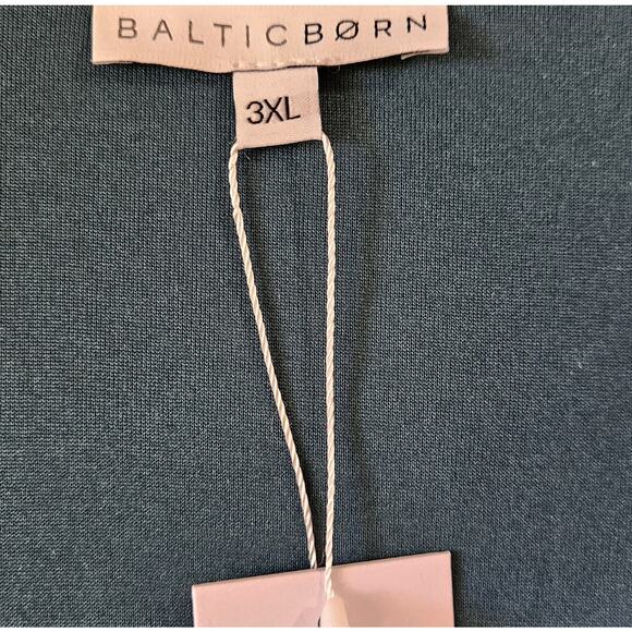 BALTIC BORN Women 3X Veronica Maxi Dress Green Velvet Burnout Smocked Waist NEW - Picture 4 of 12